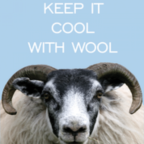 KYWIE Champagner Cooler Veloursleder Schwarz