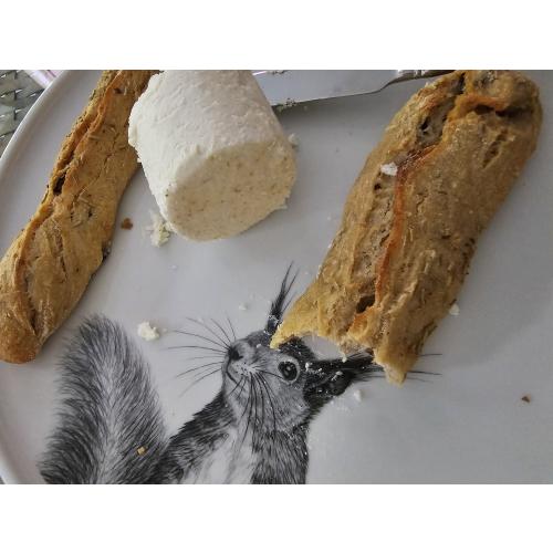Teller Eichhörnchen greift Sterne; 17 cm; Glockenläuten; tierisch schön