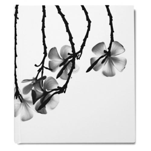 Notizbuch FRANGIPANI