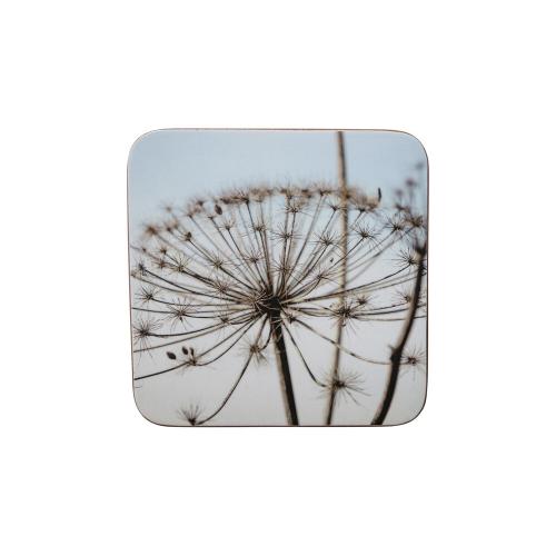 Untersetzer; Natur; Bärenklau (6)