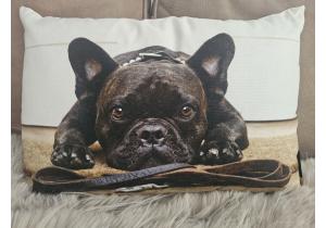 Kissen; 35 x 50 cm; Motiv: MOPS; Weiss