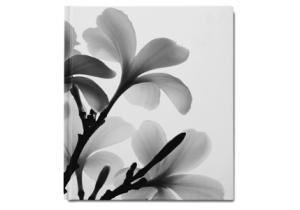Notizbuch FRANGIPANI