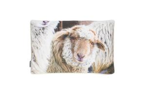 Schaf Outdoor-Kissen; Beige; 40 x 60 cm