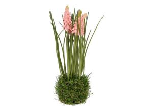 Hyazinthe auf Grasballen; Höhe 24 cm; Rosa