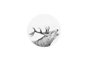 Deckel / Untersetzer 