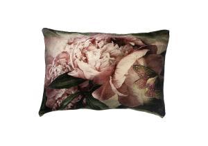 Kissen; Samt; Motiv: Schmetterling: 40 x 60 cm