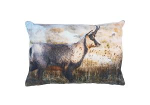 Kissen; Samt; Motiv; Gämse; 40 x 60 cm