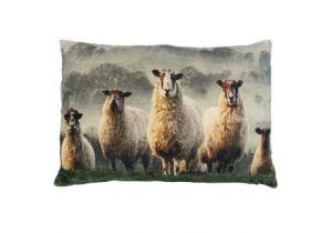 Kissen; Samt; Motiv: Schafe; 40 x 60 cm