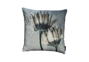 Kissen; Samt; Motiv Gerbera; 45 x 45 cm