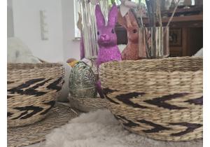 Korb aus Seegras; 25 cm; Rund; Natur