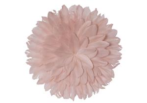 Federplatte; Pfirsich