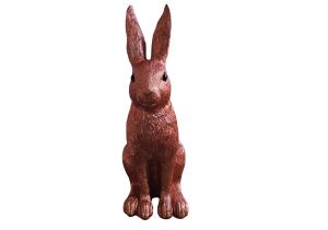 Hase 